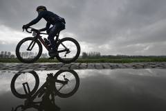 SCHELDEPRIJS-LOW-RES175